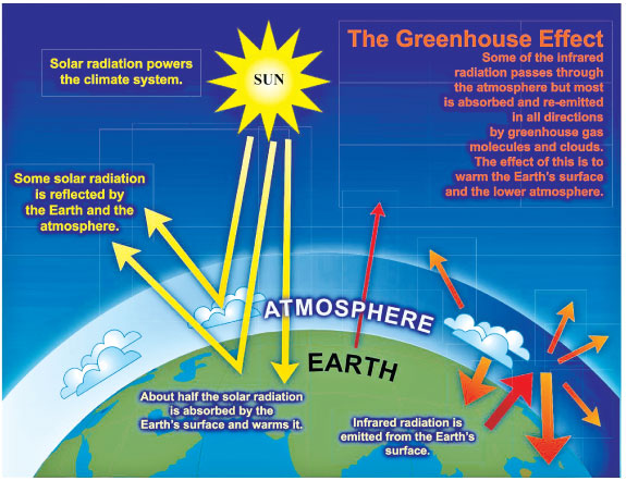 The Environment: Global warming | Sunday Observer