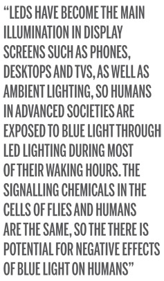 How Blue Light Accelerates Aging?