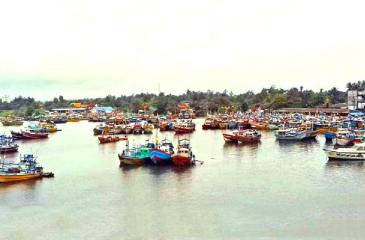 Men sorting out fish on pier