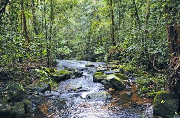 PERFECT SCENE: A placid cool stream that runs through the mountain range  