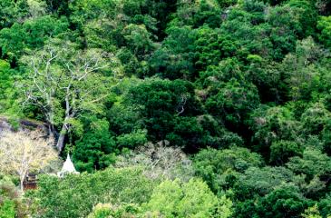 The white dagoba viewed through the green carpet of Sankapala Mountain