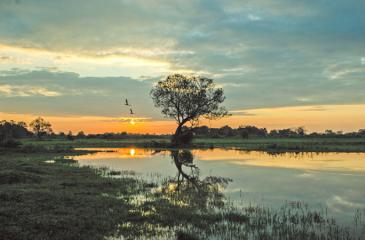 Sunrise over Somawathiya National Park   