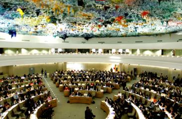 UN human rights council