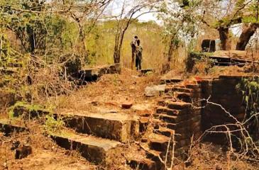 The Veli Vehera Archaeological site hidden in the Wilpattu National Park