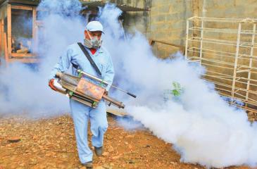 Fogging a mosquito breeding site