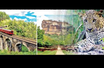 Nine Arch Bridge-Sigiriya Rock-Sri Lankan Leopard