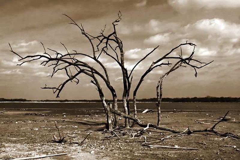 Transformation to sustainable agriculture needs tailor-made solutions and an enabling environment. File photo of a parched tank in the dry zone. Pic: Lake House Media Library