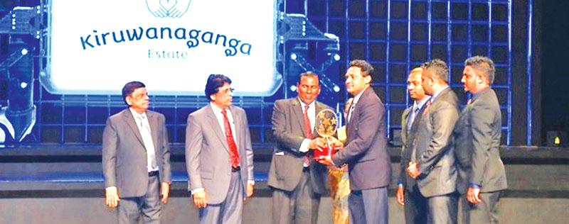 Senior Deputy General Manager, Uddhika Mahadivulwewa of Kiruwanaganga Estate receives the award from , Minister of Labour and Trade Union Relations, W. D. J. Seneviratna.