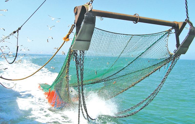 Ban ends, hundreds of mechanised Indian fishing trawlers in Lankan waters  again