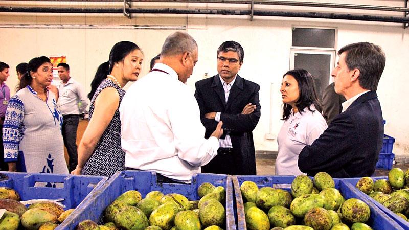 The MCC team at the Cargills factory in Kilinochchi   