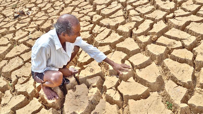 Dry zone agriculture faces issues due to variations in rainfall pattern and increased frequency of natural disasters such as floods and droughts. Picture: Lake House Media Library