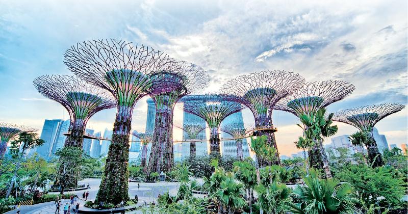 Gardens by the bay