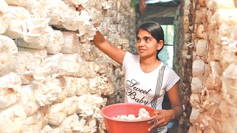 A woman at work. Source: http://blogs.worldbank.org/jobs/psd/young-women-and-work-international-womens-day