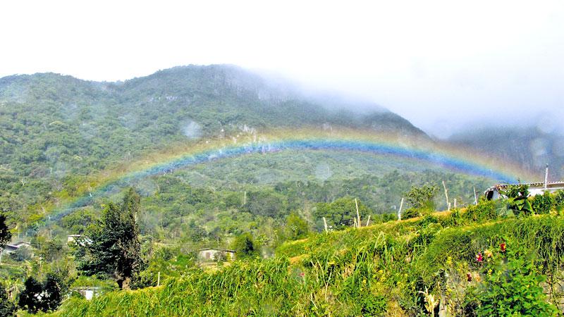 Hakgala Strict Natural Reserve seen through the Hakgala Garden