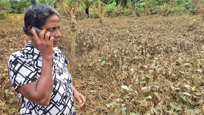  Jayanthi Thuduwage and one of her daughters were rescued by by neighbours. Her tea cultivation of nearly two acres at Akuretiya, Baddegama adjoining the Gin Ganga was completely destroyed by the floods. She said she could never dream of replanting her land.  