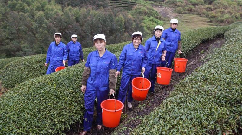 The PRC is already modernizing farms through cooperatives, and by using digital e-commerce platforms to tap into high-value markets.