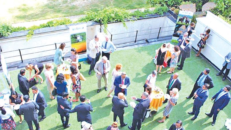 Guests enjoying the evening with Ceylon tea