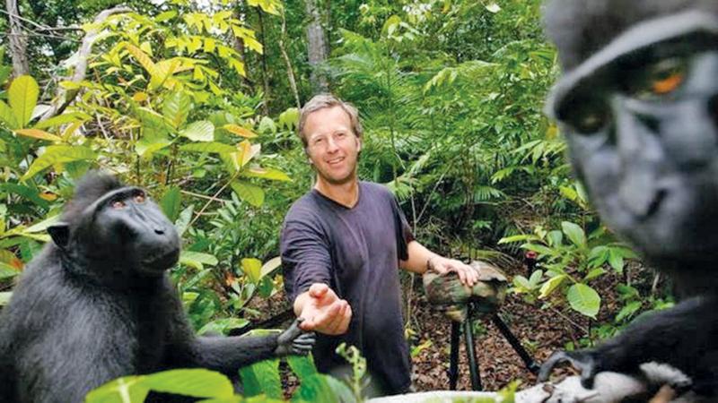 David Slater said that he had to earn the trust of the monkeys over several days before venturing close enough to get the selfie  