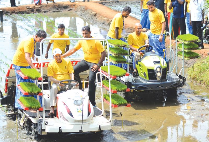 Launch of Wagaa Sangraamaya (Pic: Sudath Malaweera)