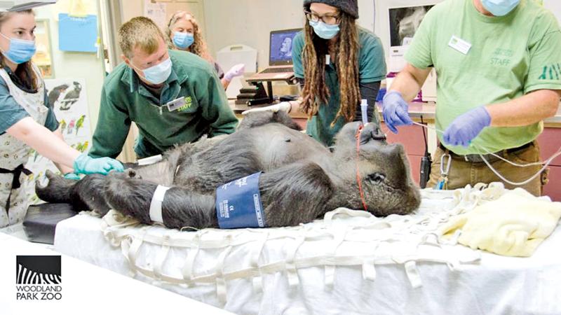 Jumoke was diagnosed with a bone fracture.