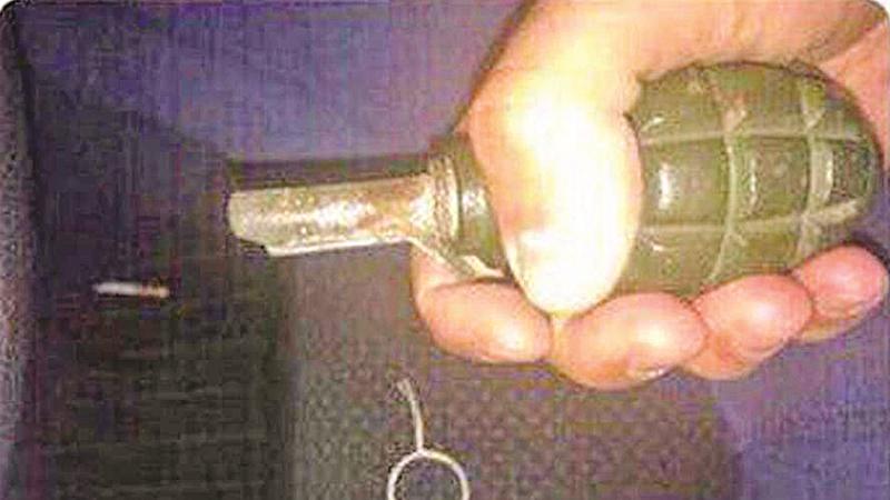 Alexander Chechik died soon after he posted a photograph of a hand grenade from which he had removed the pin. 