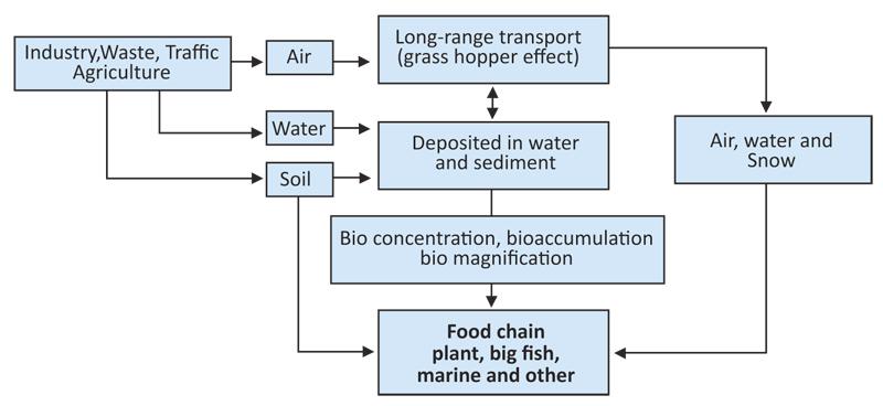 Transportation and accumulation pathways of POPs in the environment