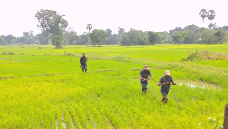 Agriculture makes a substantial contribution to the economy