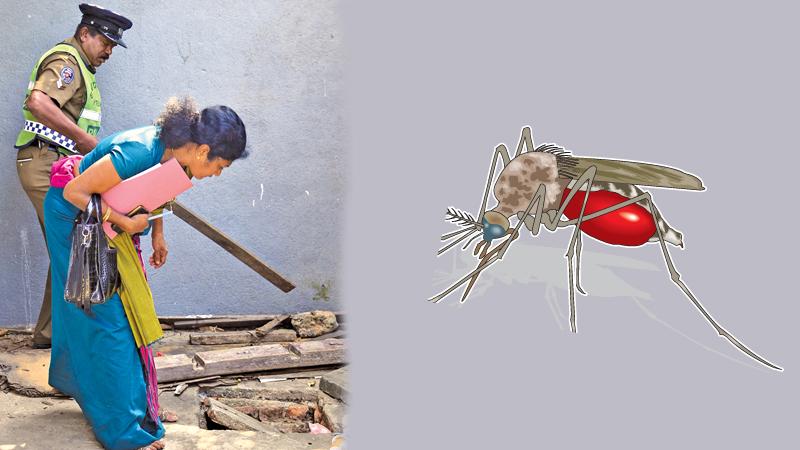 Exploring garbage – the team found possible mosquito breeding grounds in some households