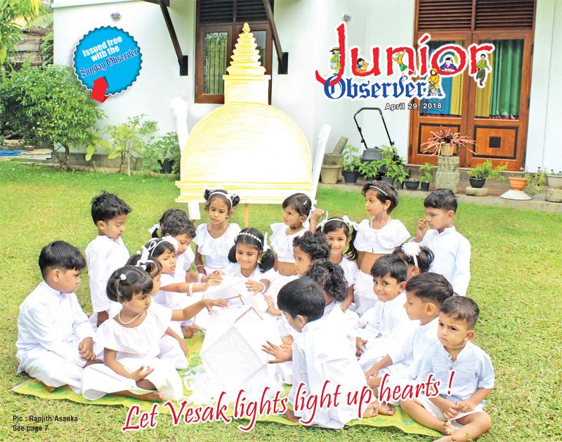 We wish our Junior Observer readers a joyous and peaceful Vesak Day.  Pic: Ranjith Asanka