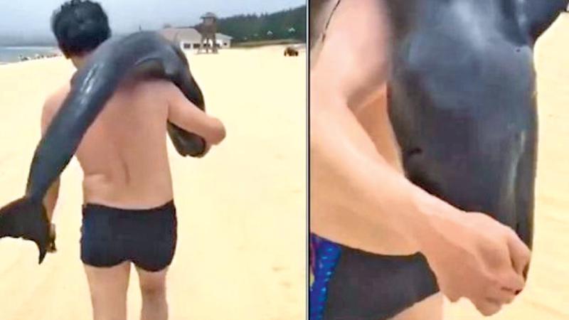 The video showing a man carrying the dolphin has been shared widely on Chinese social media    