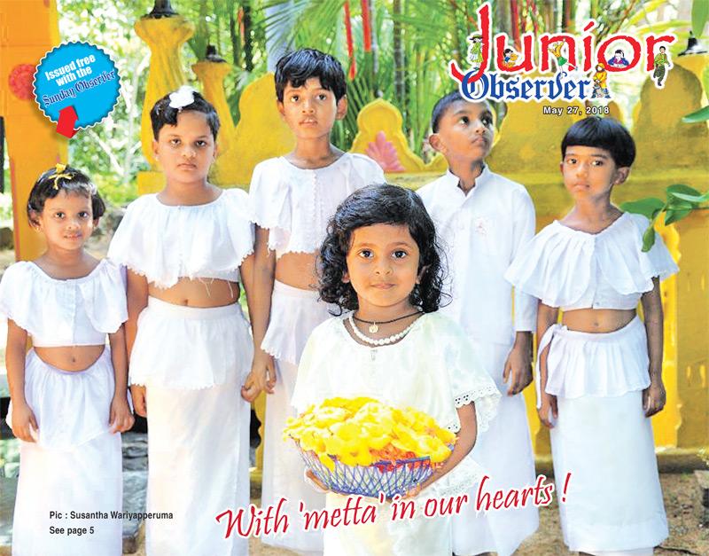 Pic : Susantha Wariyapperuma