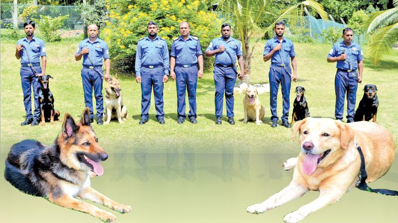  Navy Vet, Lt.Commander Dayaratne and OIC Lieutenant Ayeeshan with dogs and handlers