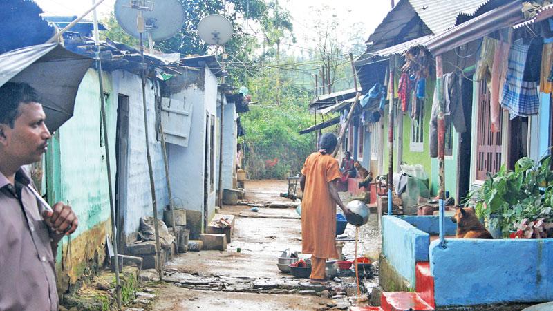 Tea plantation line houses in Sri Lanka