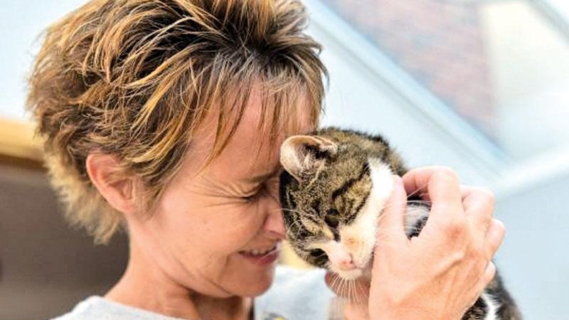 Boo the tabby cat (17) is reunited with her owner Janet Adamowicz after going missing for 13 years (Pic: SWNS)    