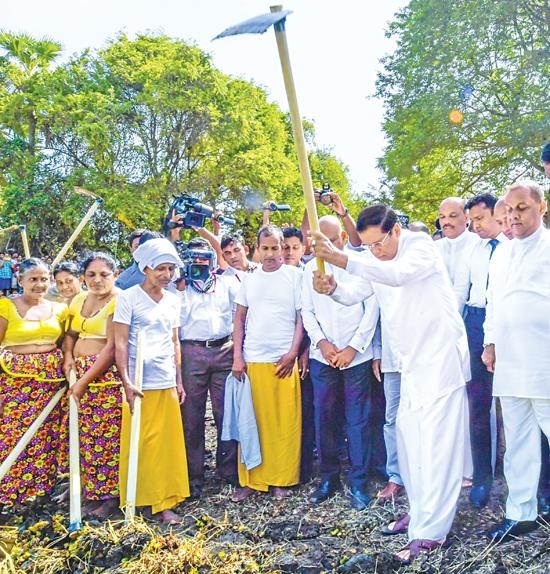 President Maithripala Sirisena, eldest son of a farming family displays his skills with a mammoty by taking the first step to renovate the Kubukulawa tank in Polpithigama, which is the first of the 2,400 rural tanks connected with “ellanga gammana” or Cascaded Tank-Village system in the Dry Zone to be developed, together with the commencement of the Second Stage of Wayamba Ela, in North Western Province on Friday (Aug 24).