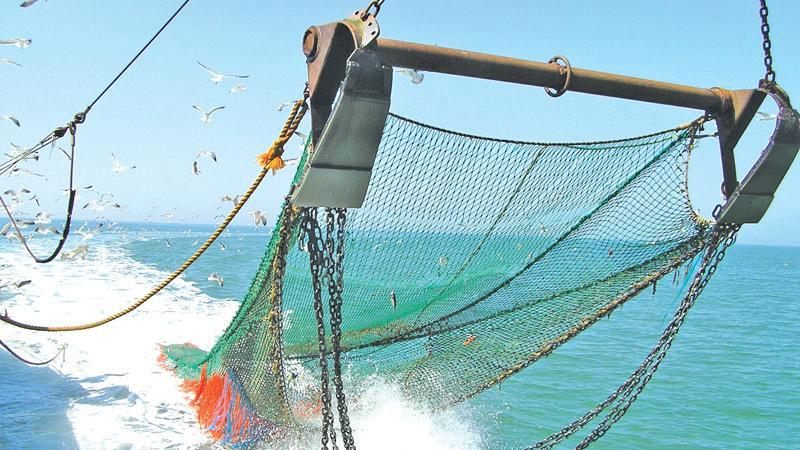 Forbidden bottom trawling