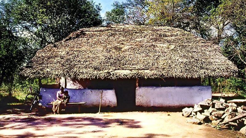 A SAGA OF EVOLUTION:A traditional home in Ehetuwewa village. The wattle and daub walls have been whitewashed with lime