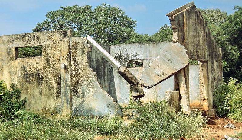 Kondachchi Cashew plantation in Musuli, Mannar