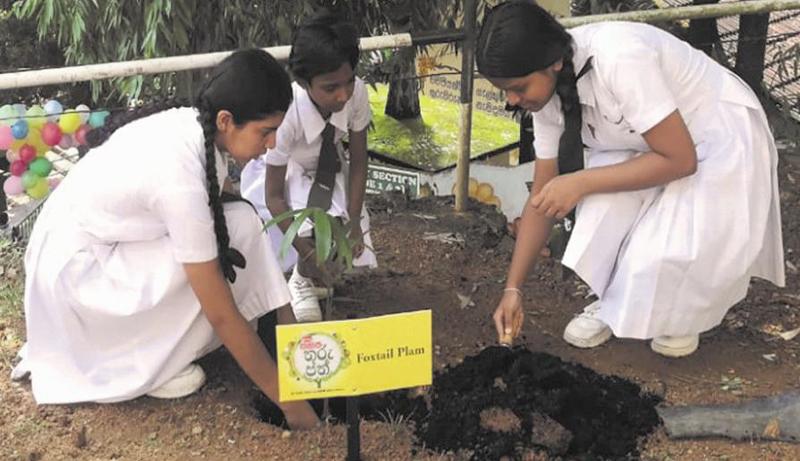 Children of Ferguson High School, Ratnapura planting a tree to support the cause.