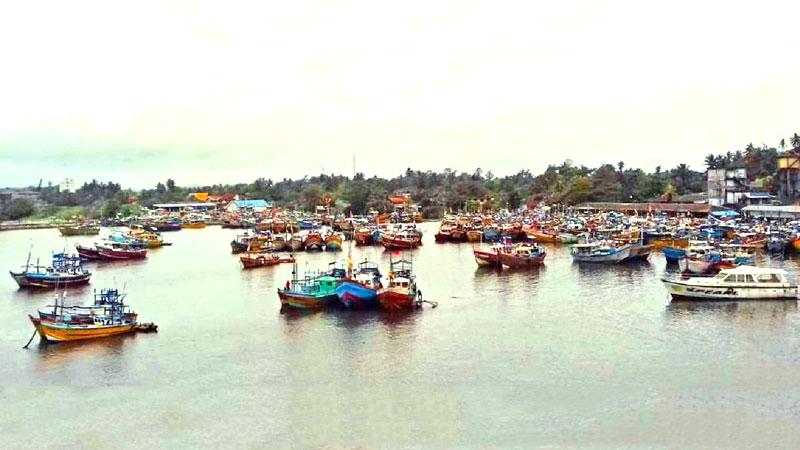 Men sorting out fish on pier