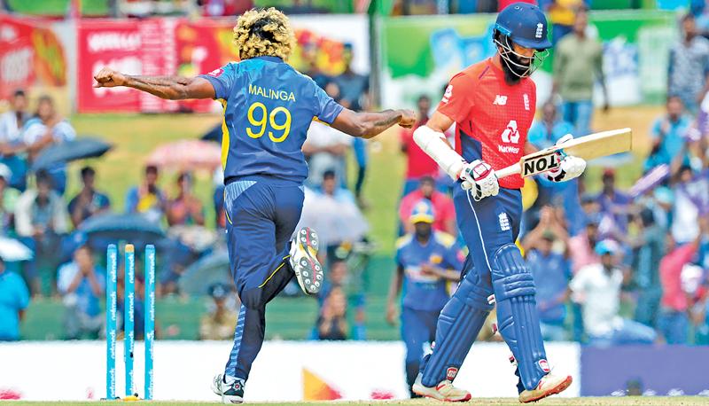 Lasith Malinga celebrates after he dismissed England batsman Moeen Ali during their second one day international in Dambulla yesterday   Photo by LAKRUWAN WANNIARACHCHI / AFP