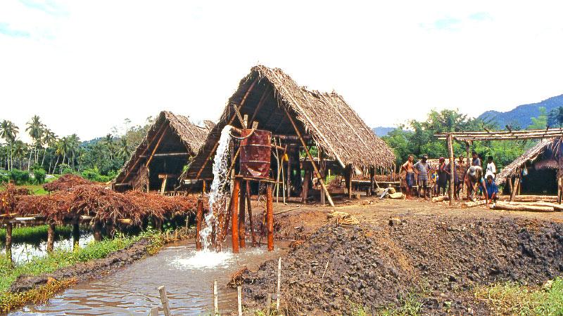 TREASURE HIDDEN BY BRACKEN: The thatched huts provide shade from the sun and rain, this Dona pathal  (tunnel gem pits) can take up to  six months to work on  