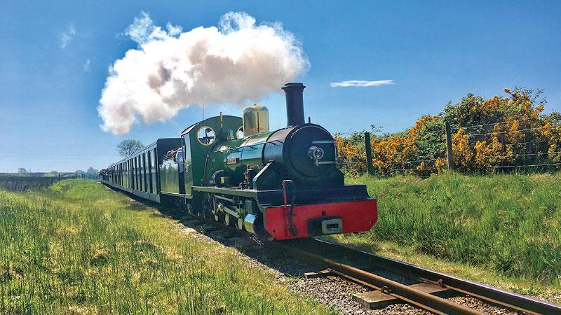 A Steam train in action