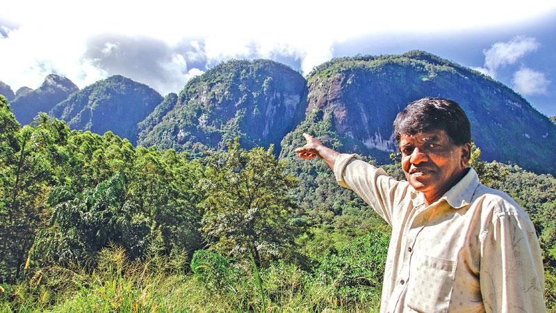 REMINISCING THE TRAGEDY: K.A. Ariyapala, a villager of Koththelena and also an eyewitness to the tradegy, shows the last cliff of the Seven Virgin Hills range where the plane crash occured