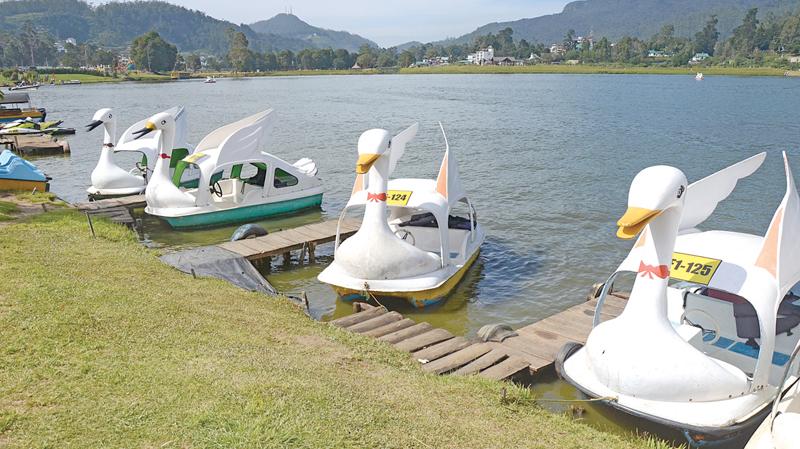 COOL COUNTRY: A breathtaking view of placid Lake Gregorym with Swan like boats waiting for you