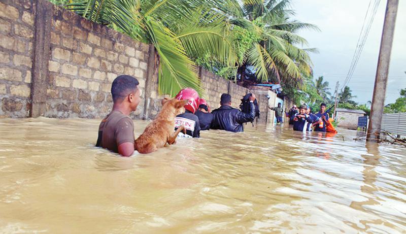 Floods in the North : Armed Forces’ swift action saves many lives ...