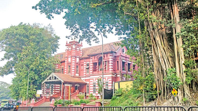 NATURE’S BEAUTY: A massive banyan tree gives beauty to the landmark building of Technical College in Maradana