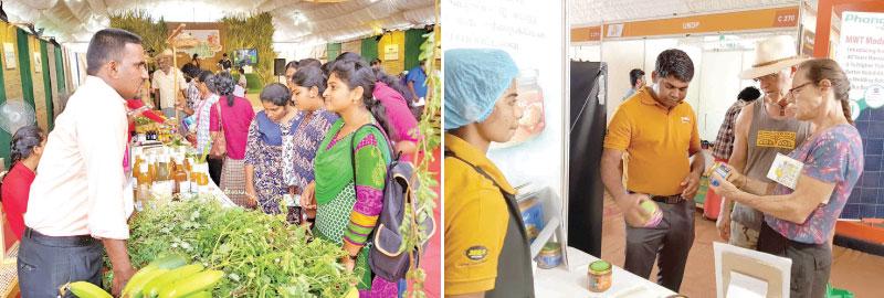 Local and foreign visitors at the Fair. Pix: Saliya Rupasinghe   