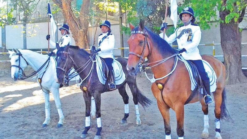 Horses in mounted formation