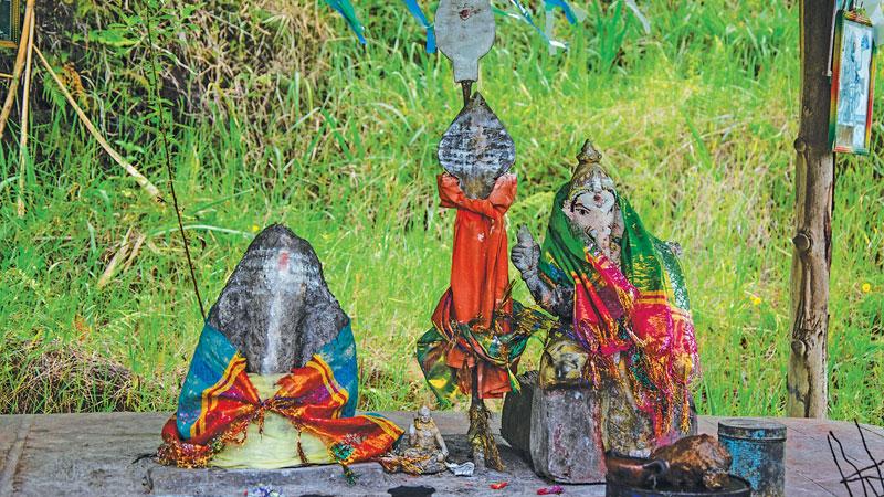 Wrapping colourful spiritual cloths around the two images of Lord Ganesh bearing spiritual spears at a roadside shrine (Kovil) in Dickoya 